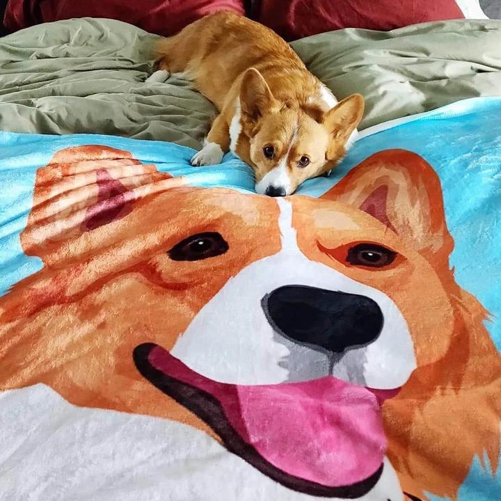 Custom Dog/Pet One Photo Blankets Fleece Blanket - faceonboxer