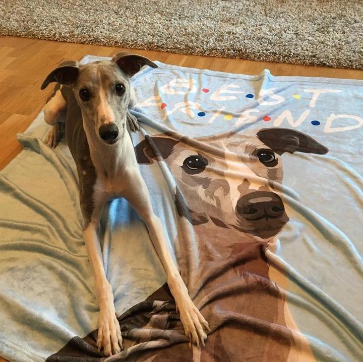 Custom Dog/Pet One Photo Blankets Fleece Blanket - faceonboxer