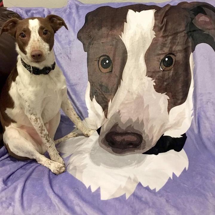 Custom Dog/Pet One Photo Blankets Fleece Blanket - faceonboxer