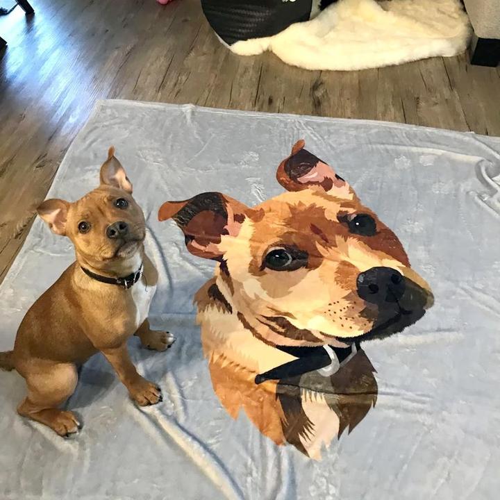 Custom Dog/Pet One Photo Blankets Fleece Blanket - faceonboxer