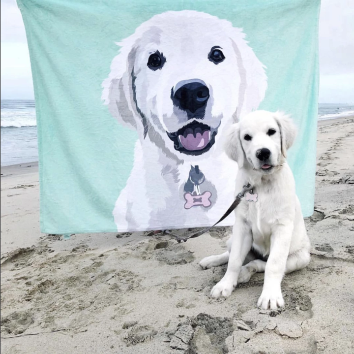 Custom Dog/Pet One Photo Blankets Fleece Blanket - faceonboxer