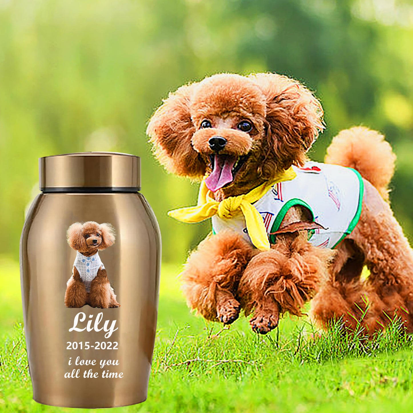 Custom Pet Urn: Personalized Memorial for Ashes with Name and Photo