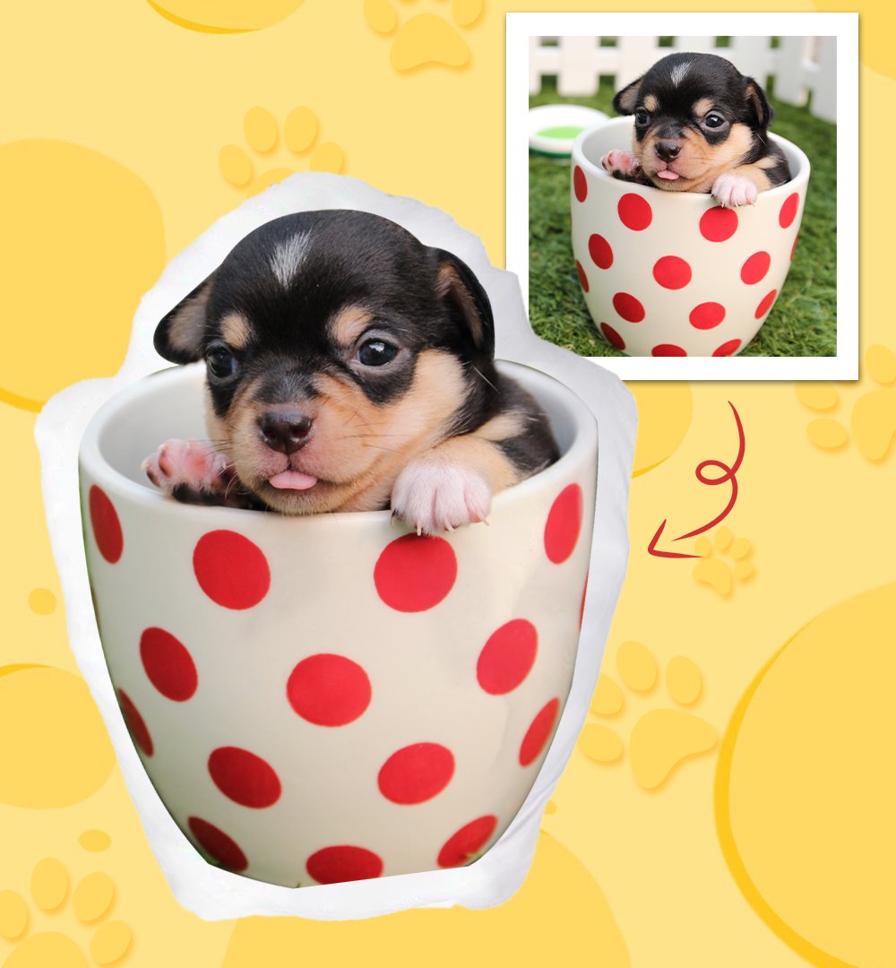 Custom Pet Photo Pillow Custom Pet Face Pillow Best Personalized Gift - New - faceonboxer