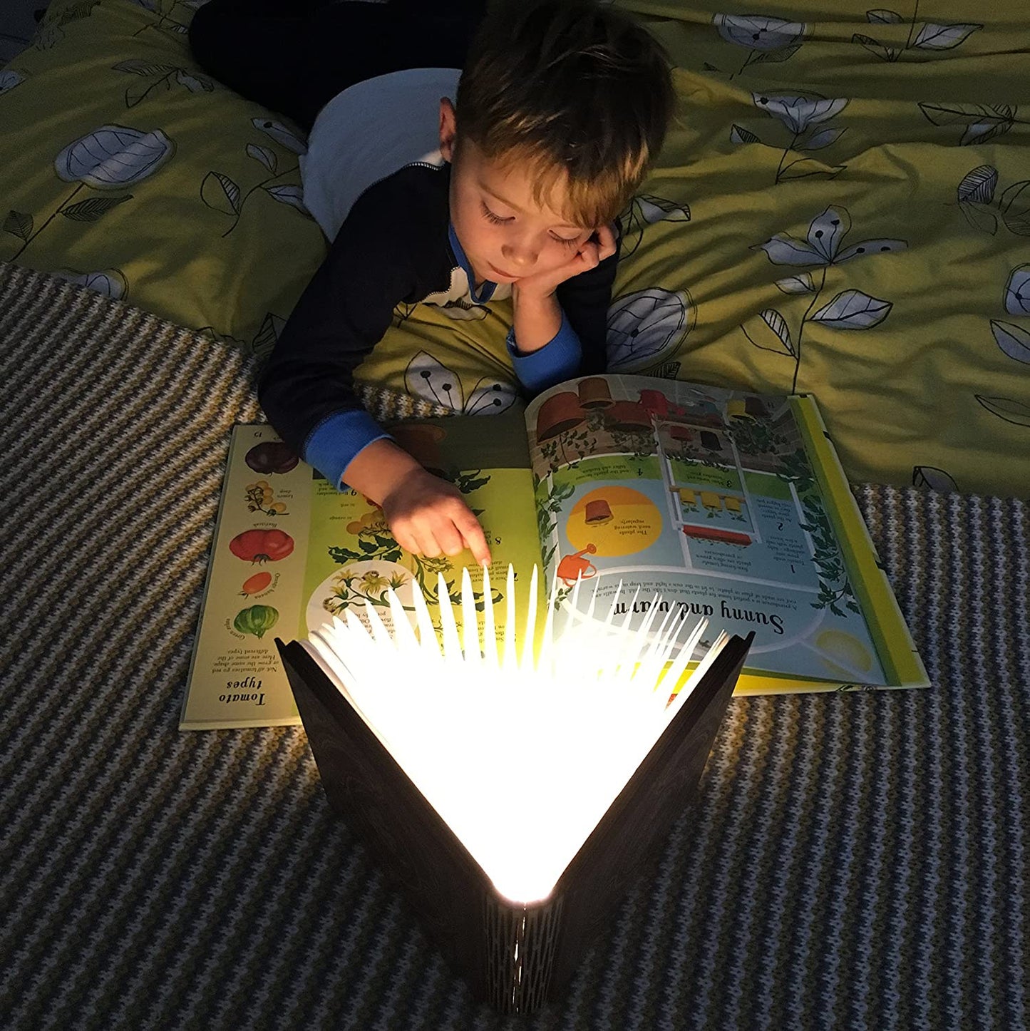 Custom Photo Book Lamp Open 360 Degrees For Desk, Reading, Floor Night Light - Colorful