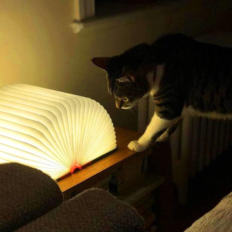 Custom Photo Book Lamp Open 360 Degrees For Desk, Reading, Floor Night Light - Sketch